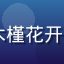 huahualove用户木槿花开的头像，甜美幸福的年轻女孩